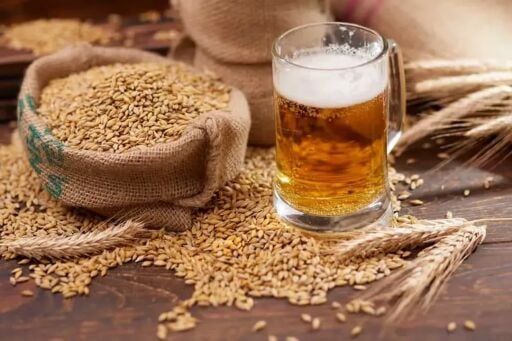 Malt içeceği
