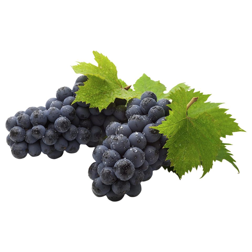 Ç-Üzüm Siyah Kg