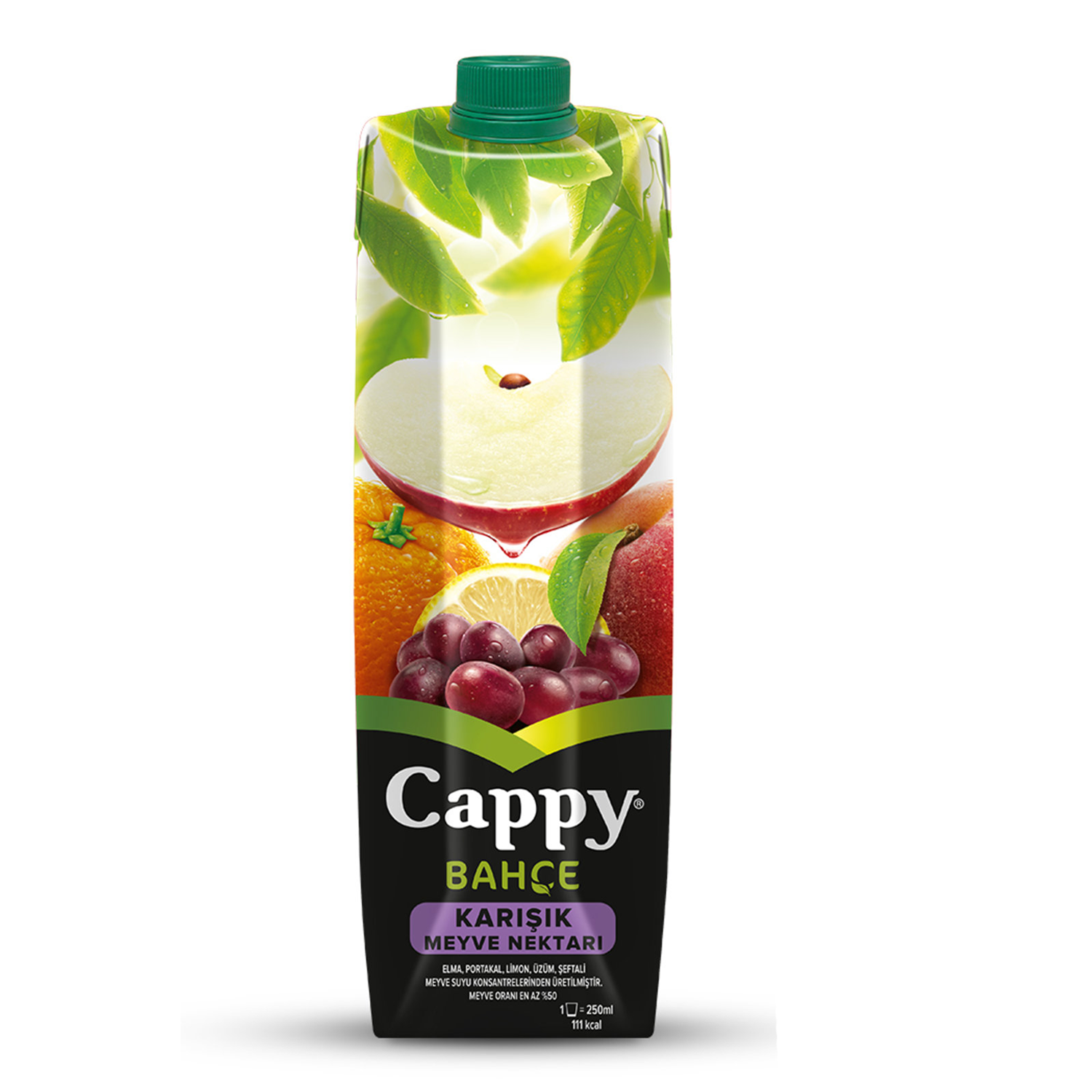 Cappy Meyve Suyu Karışık 1 LT