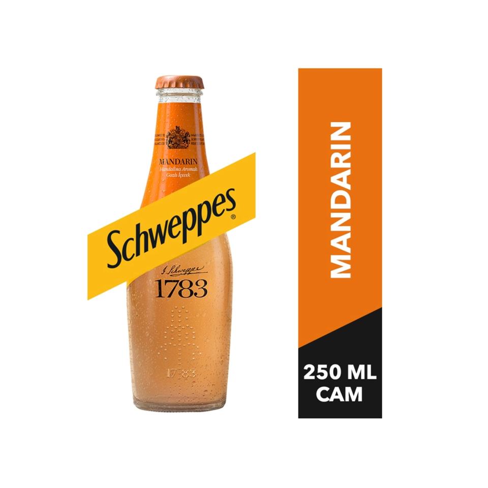 Schweppes Mandalina 250 ML Cam