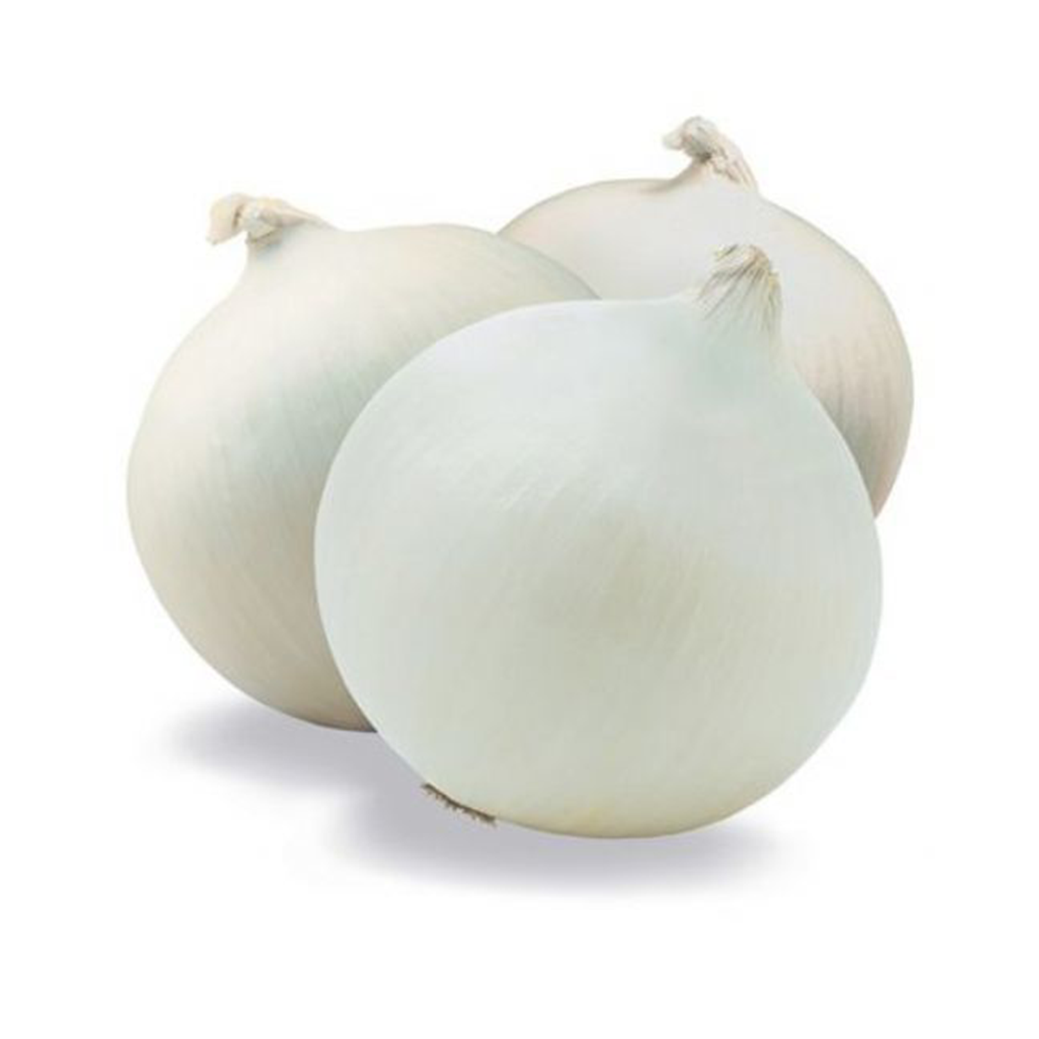 Ç-Soğan Beyaz Kg