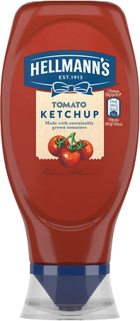 HELLMANN'S FS KETCAP 460 GR