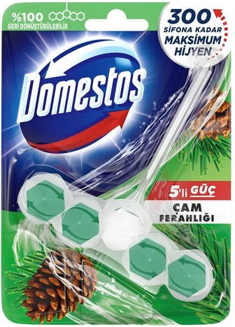 DOMESTOS WC BLOK 5 Lİ GÜÇ ÇAM FER.50 GR