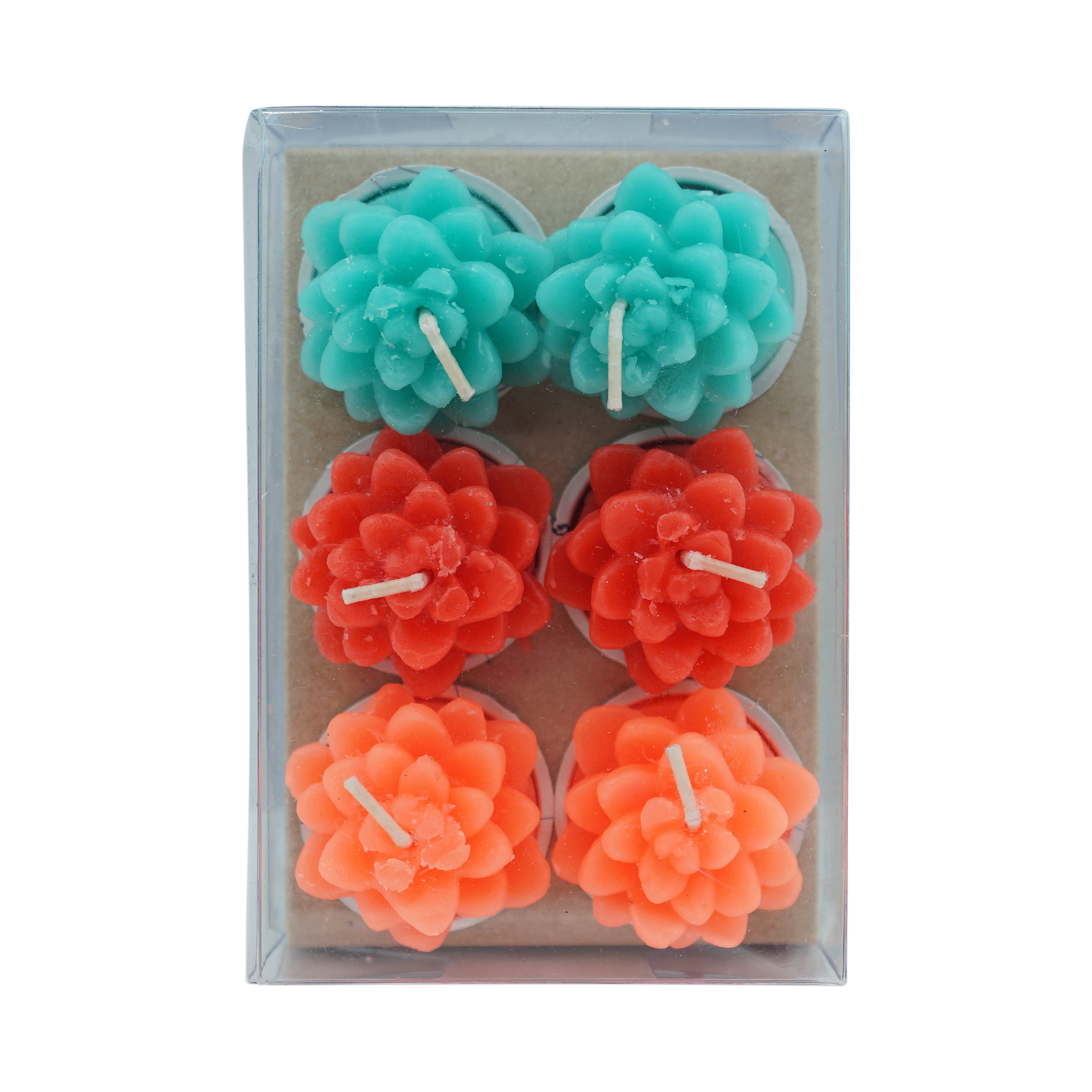 Elbitak Nur Mum Kaktüs Açmış 6lı