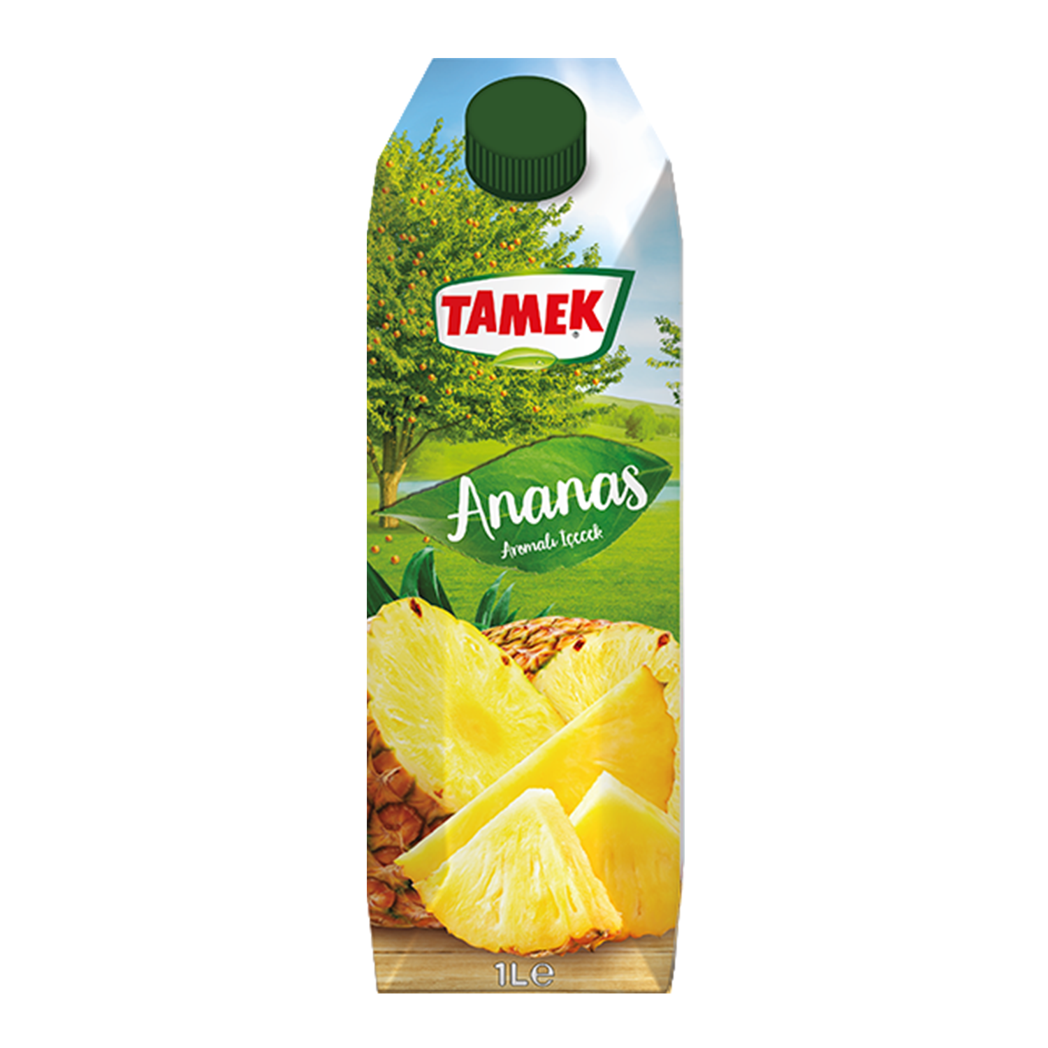 Tamek Meyve Suyu Ananas 1 LT