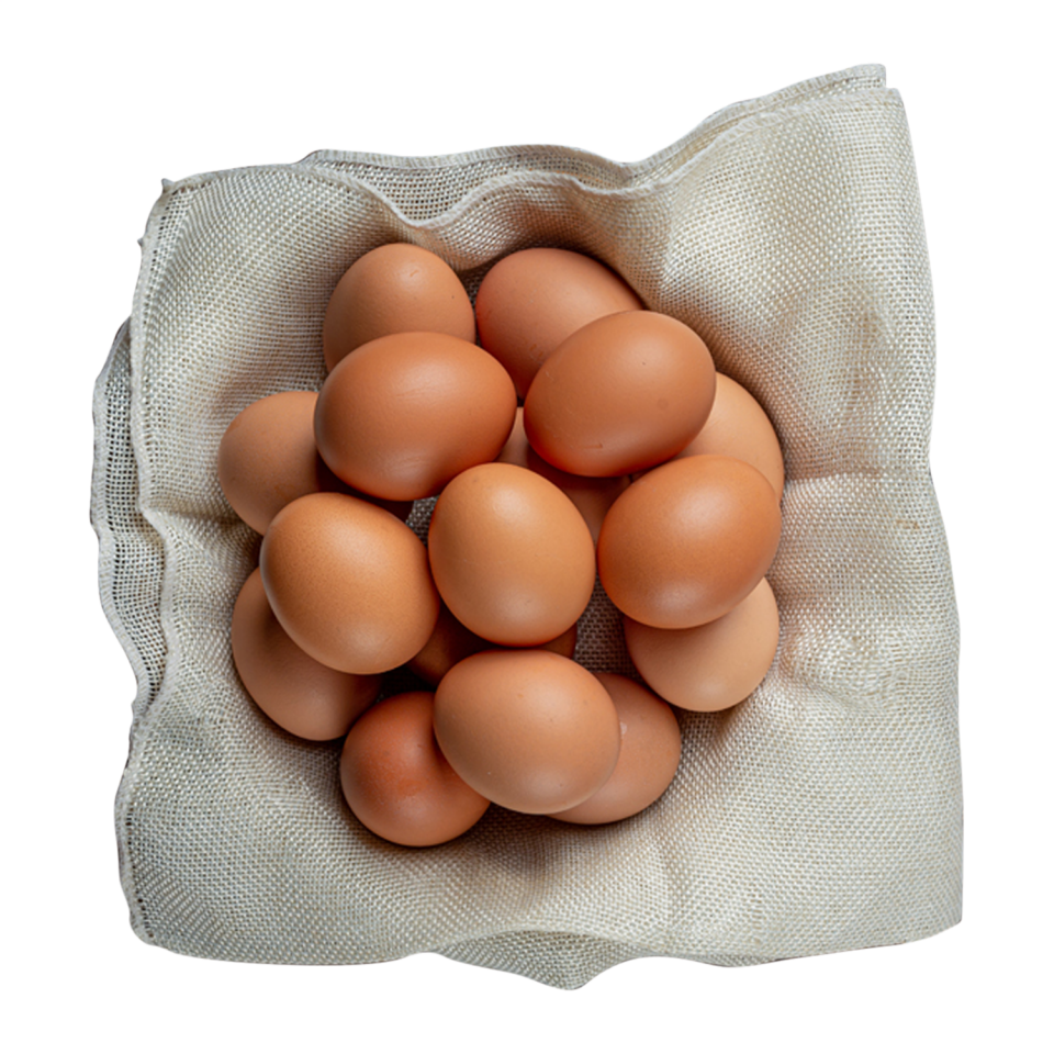 Güvenyum Organik Tavuk Yumurtası (Adet)