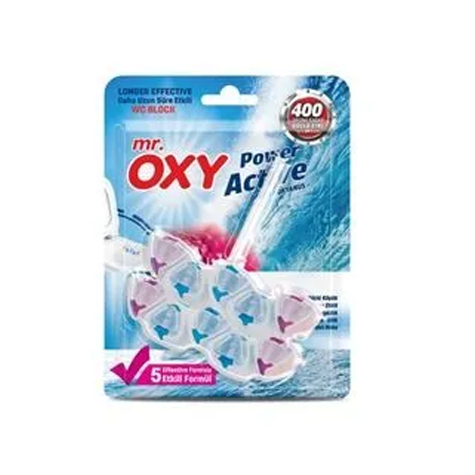 Mr Oxy Wc Blok Buz Denizi 2li
