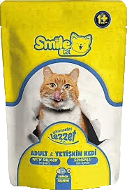 SMİLE POUCH KEDİ SOMON 100GR