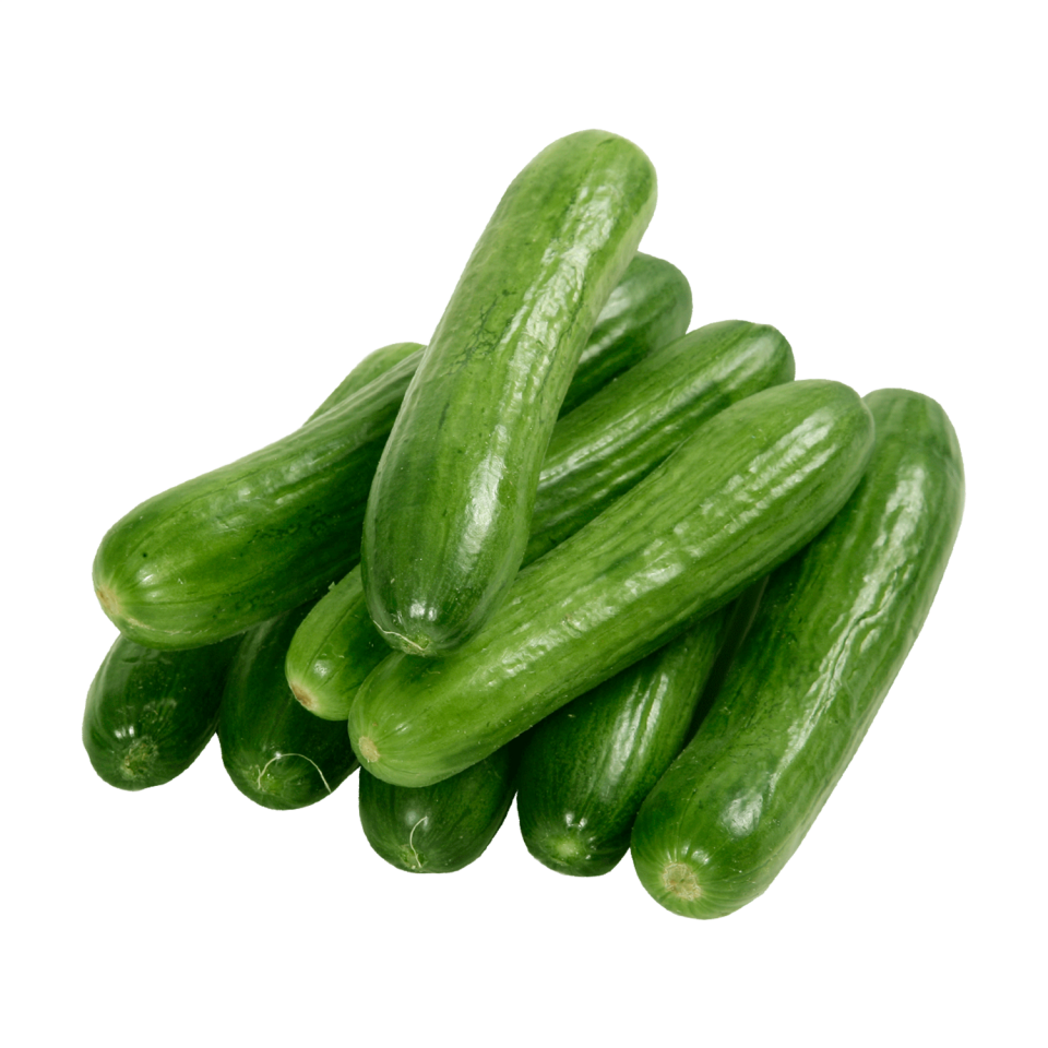 Ç-Salatalık Yerli KG